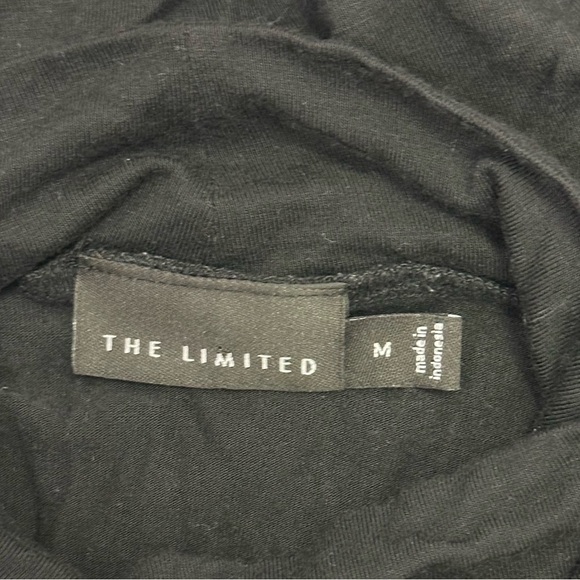 The Limited turtleneck sleeveless blouse size medium black ruffle front - Picture 2 of 6